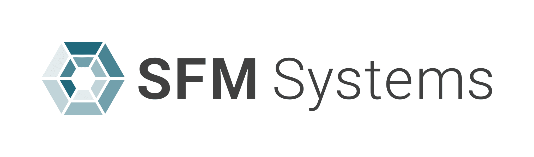 SFM Systems logo